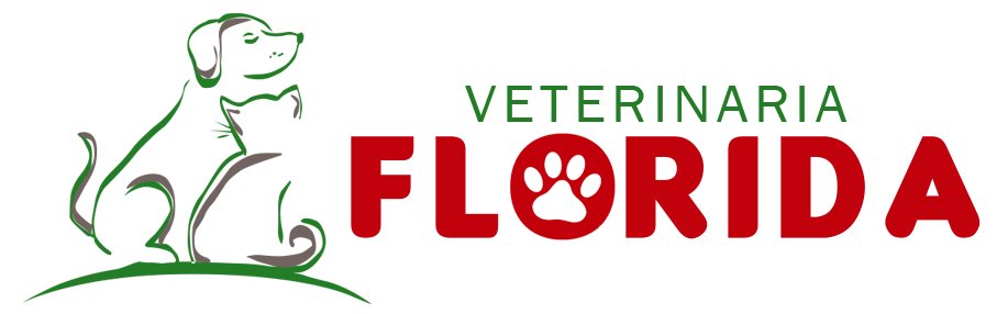 VETERINARIAFLORIDA
